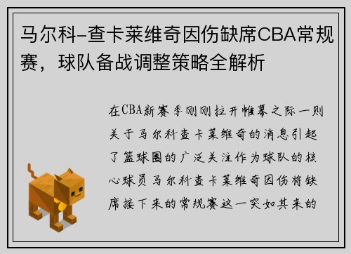 马尔科-查卡莱维奇因伤缺席CBA常规赛，球队备战调整策略全解析