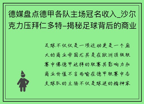 德媒盘点德甲各队主场冠名收入_沙尔克力压拜仁多特-揭秘足球背后的商业逻辑